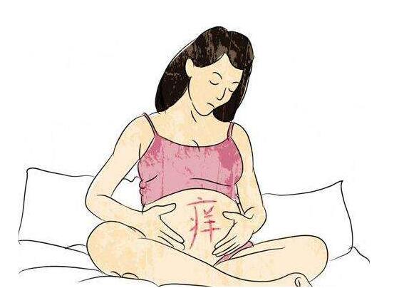 妊娠纹痒怎么办 预防妊娠纹消除妊娠纹止痒的