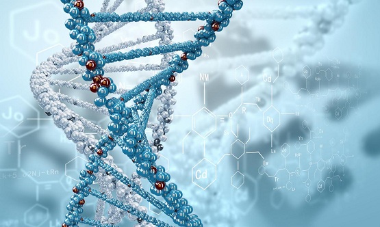 模拟人生，重新编写DNA！—— 法国布列塔尼BST皮肤研究中心杰拉尔，突破生物酶分解新技术！