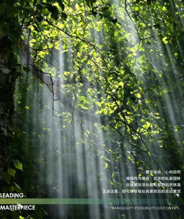 国际影后刘嘉玲与缦合·北京对话自然：追寻内心的宁静
