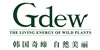 奇缔(Gdew)logo