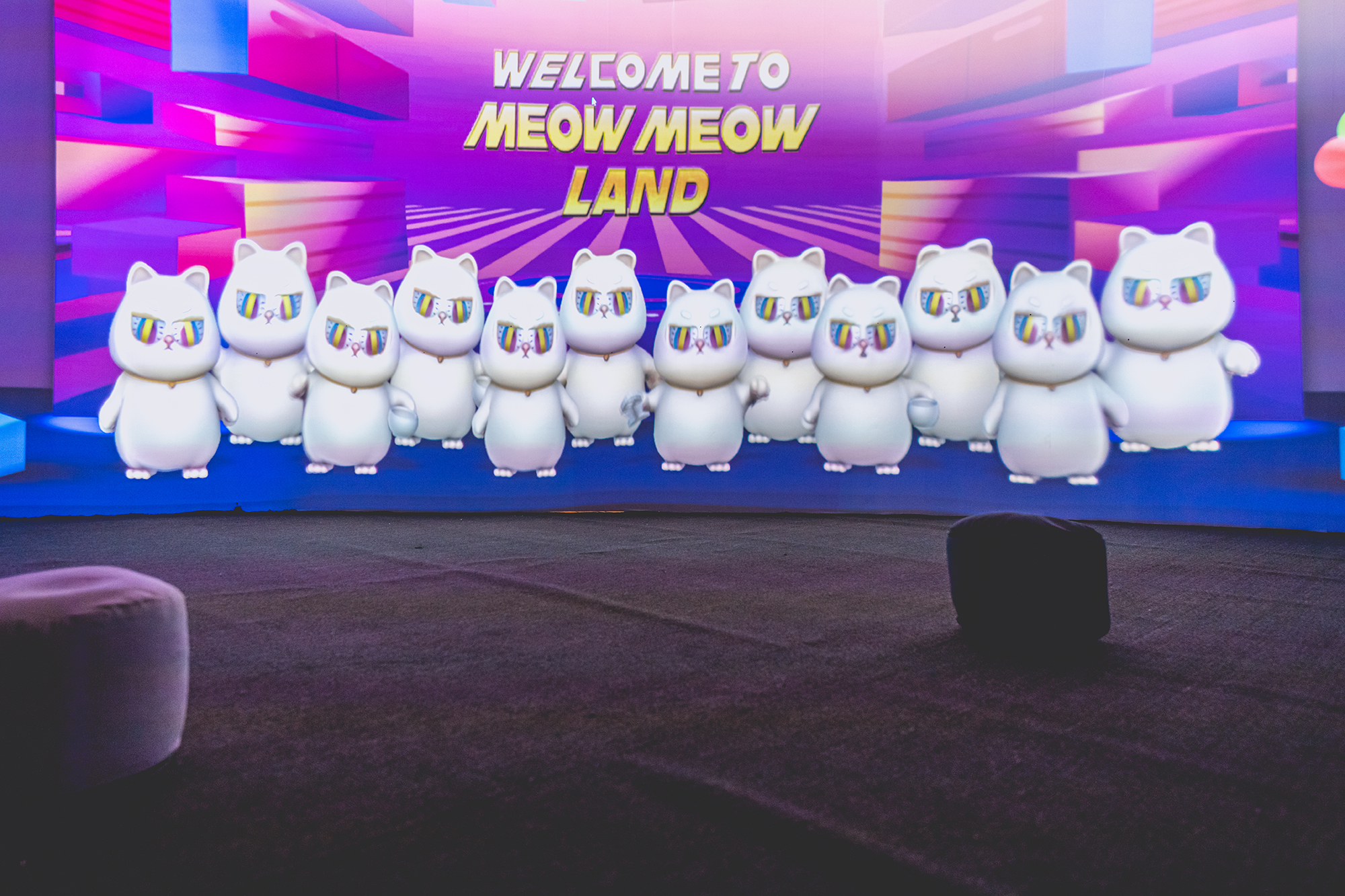 《猫的异想世界》正式开启，欢迎光临猫奴们的专属游乐园
